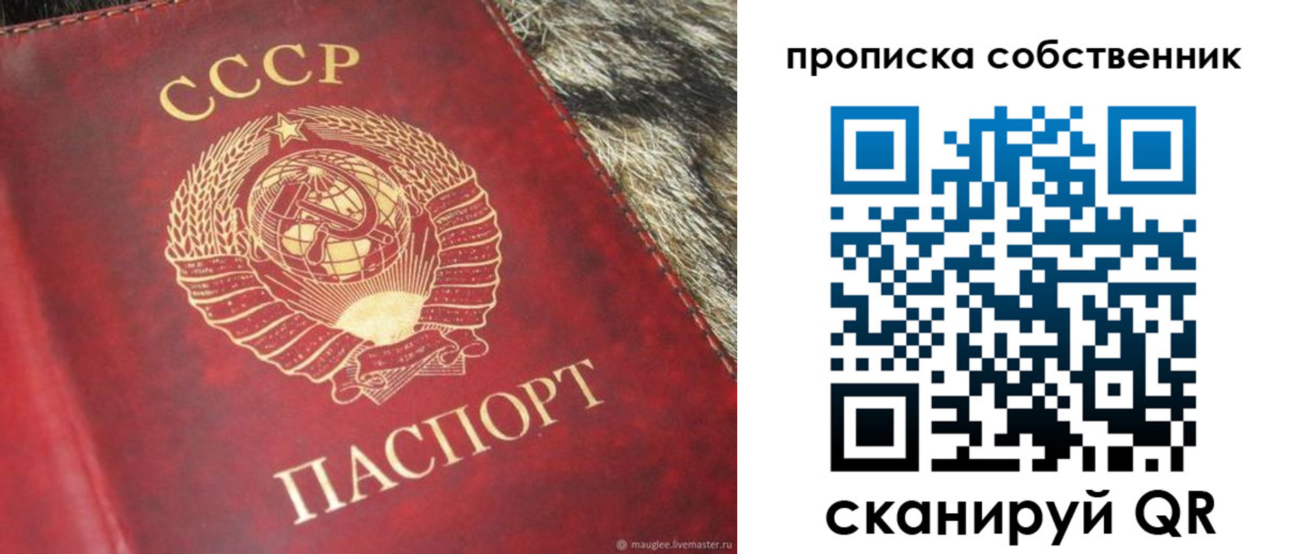 прописка в квартире в Новосибирской области